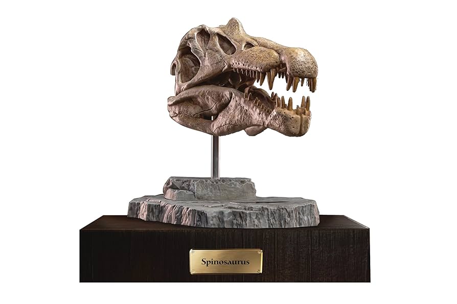 Amazon | 先史時代の生き物:スピノサウルスの頭蓋骨像 Amazon | 先史時代の生き物:スピノサウルスの頭蓋骨像